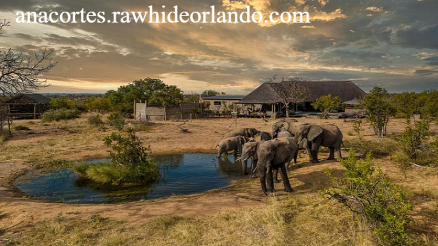 5 Rekomendasi Wisata Terpopuler di Afrika Selatan