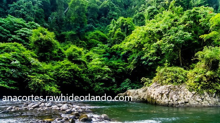 Keindahan Alam Bukit Lawang