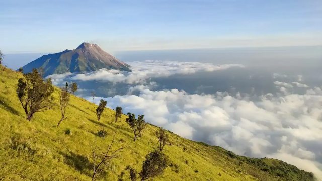Wonosobo: Destinasi Alam dengan Panorama Tak Terlupakan